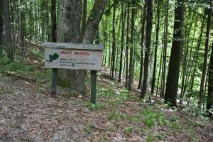 GOZDNA UČNA POT TROMEJNIK